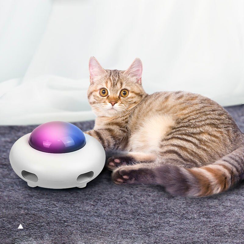 InteractivMinou™ - Jouet interactif pour chat - Mycat-anita.com