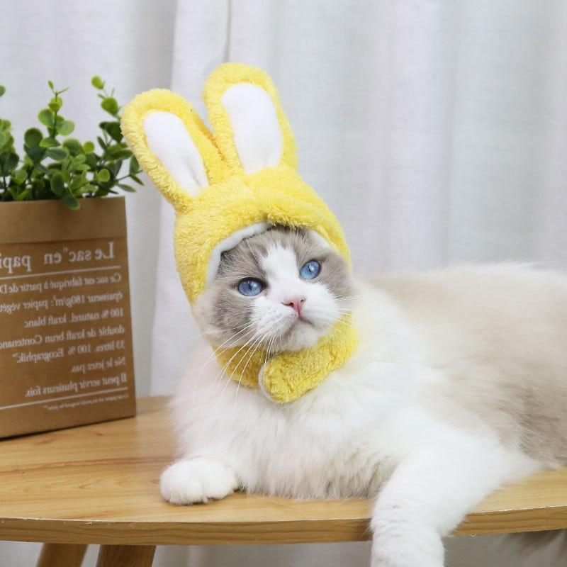 RabbitHat™ - Accessoire de déguisement pour chat - Mycat-anita.com